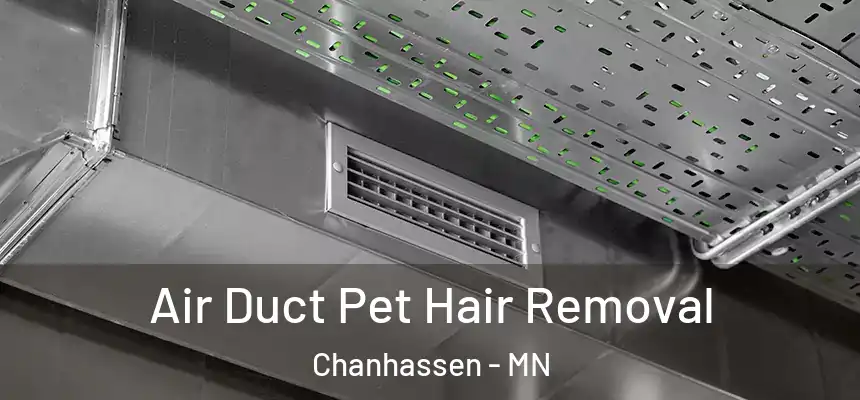 Air Duct Pet Hair Removal Chanhassen - MN