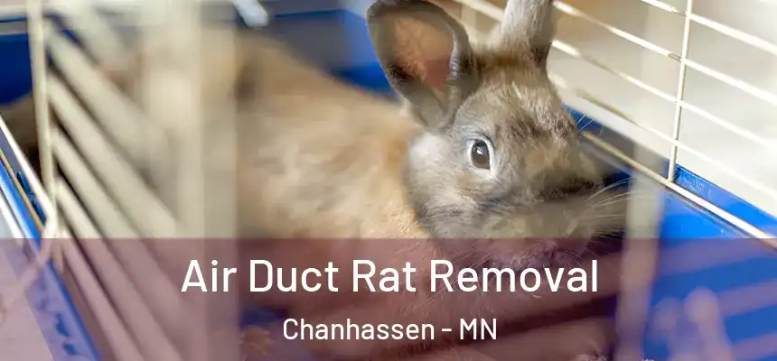  Air Duct Rat Removal Chanhassen - MN