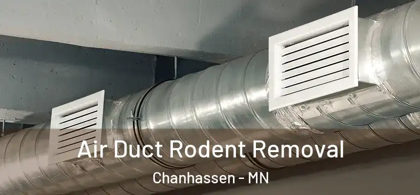  Air Duct Rodent Removal Chanhassen - MN