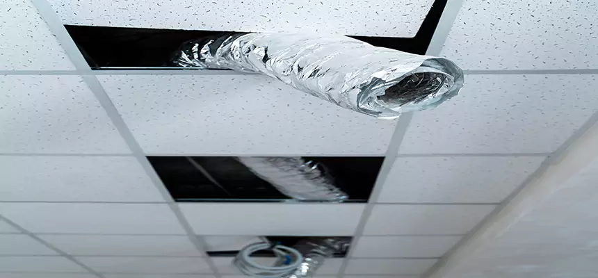 Affordable HVAC Sanitizing After Pest Removal in Chanhassen