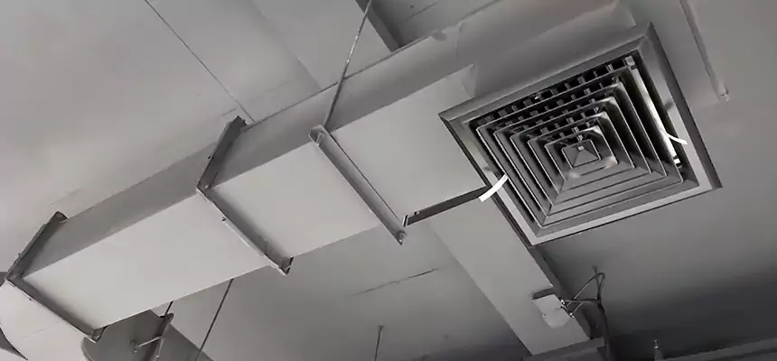 Restorative Allergy Relief Vent Cleaning – Coil, Blower & Housing Detail in Chanhassen