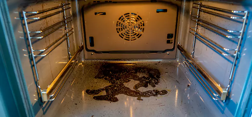 Our Dryer Vent Mold Cleaning Services in Chanhassen, MN