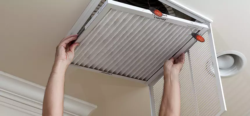 Our Insect Removal from Air Ducts Services in Chanhassen, MN