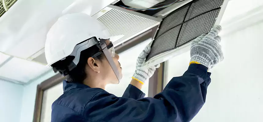 Our Mold & Mildew Removal from Air Ducts Services in Chanhassen, MN