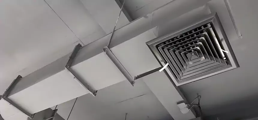 Our Pest Removal From Ducts Services in Chanhassen, MN