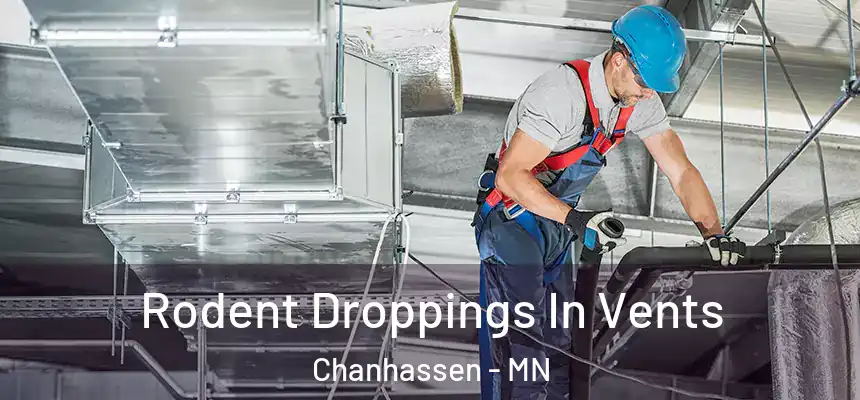  Rodent Droppings In Vents Chanhassen - MN