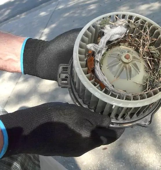 About Air Duct Mice Removal in Chanhassen, MN