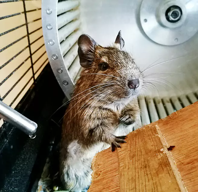 Why Homeowners & Businesses Trust Us Chanhassen, MN