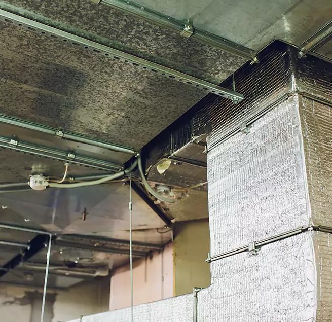 Why Homeowners & Businesses Trust Us in Chanhassen, MN?